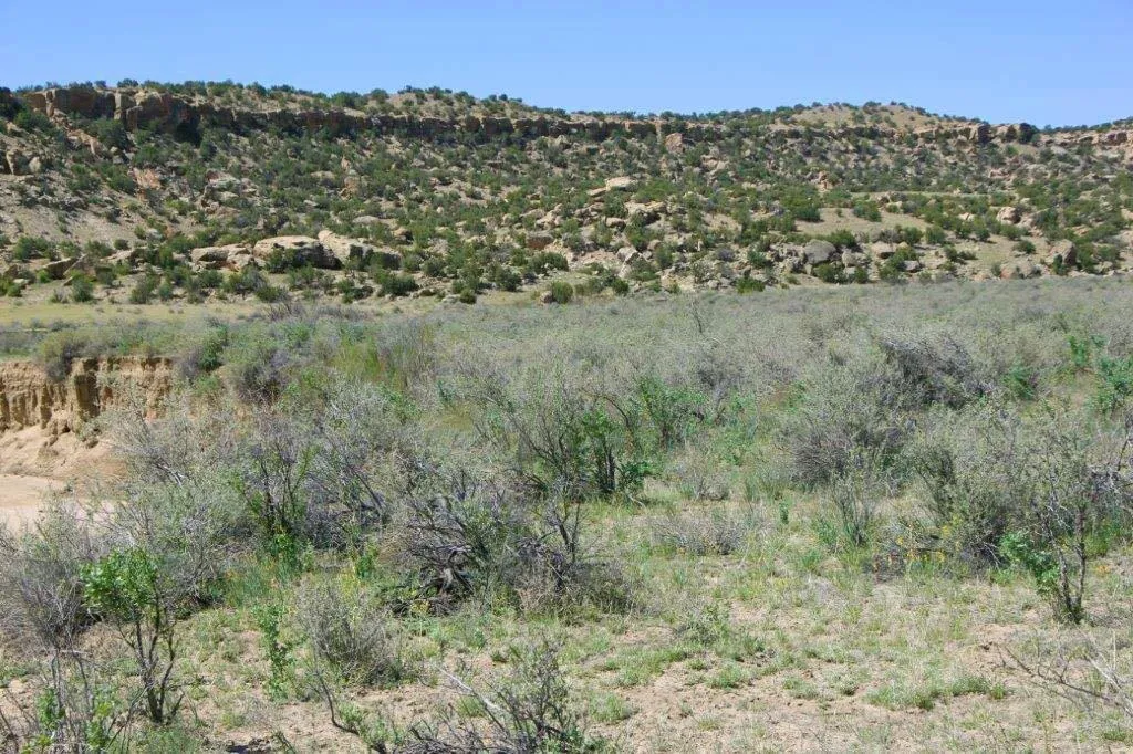 38.97 acres in Apache County