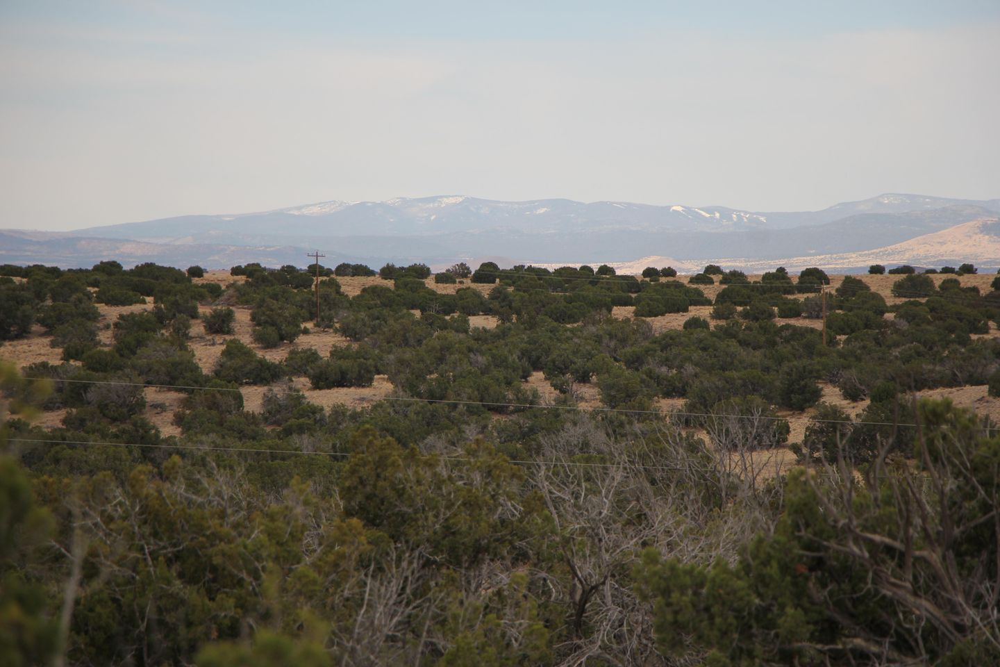 36.25 ACRES POWER AVAILABLE