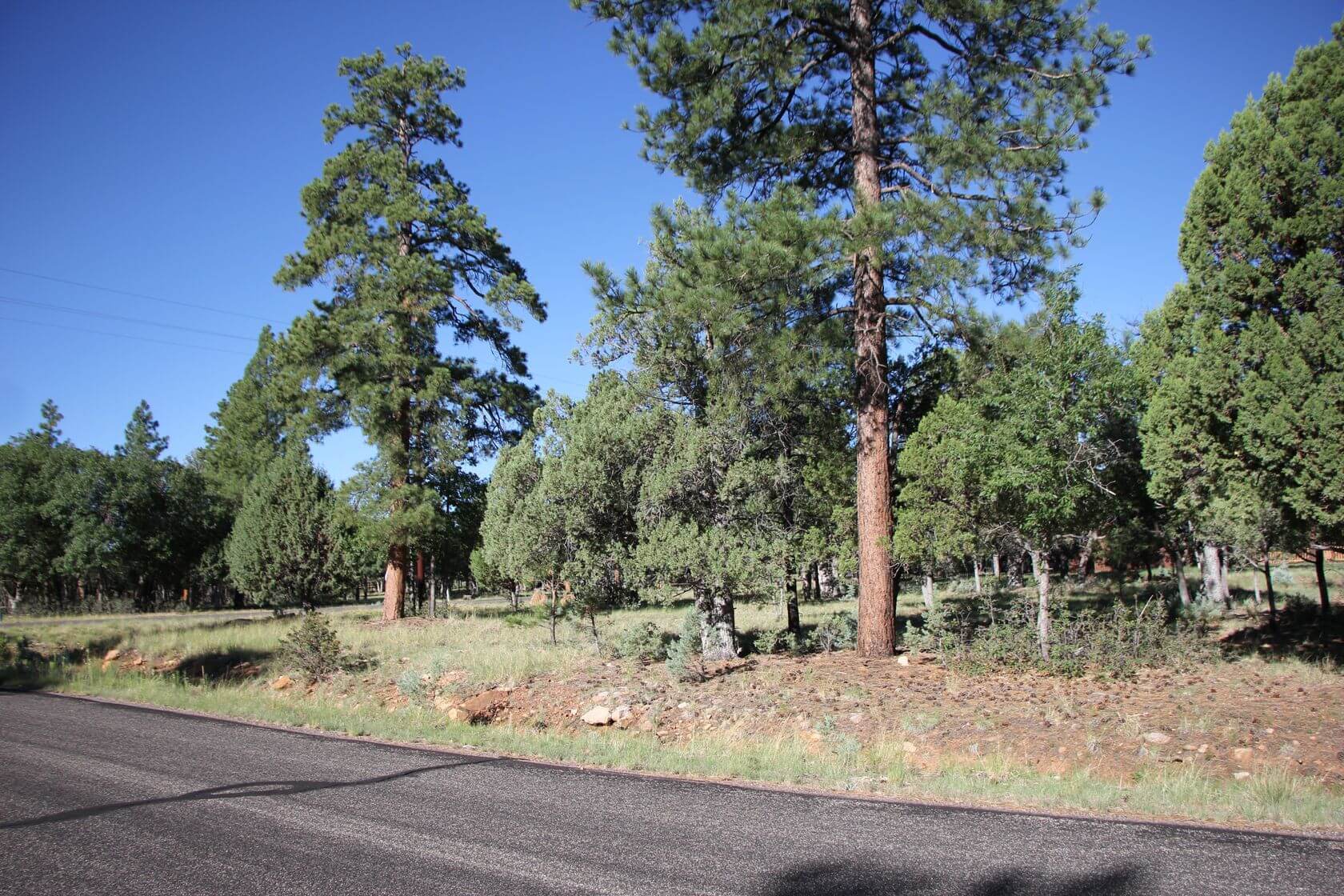 Arizona Pine Properties