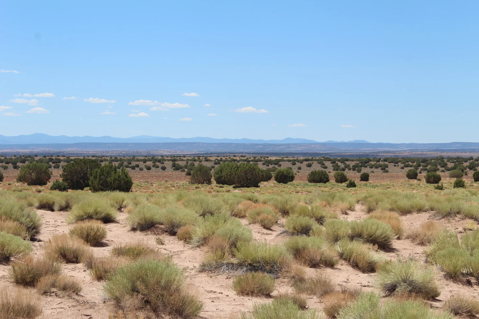 36 ac w/Well & Septic