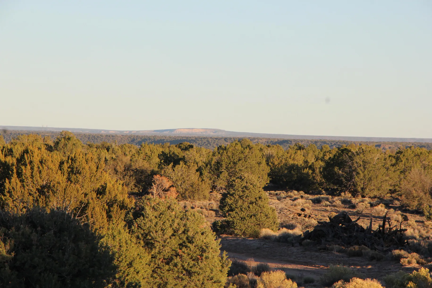 36 Acres of Space & Privacy