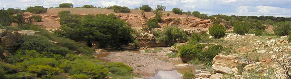 Chevelon Canyon Ranch