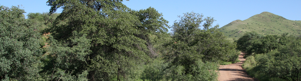 Southeast Arizona Land