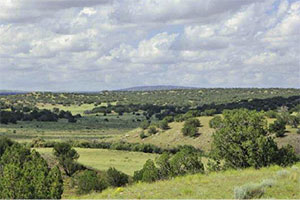 Antelope Meadows Ranch