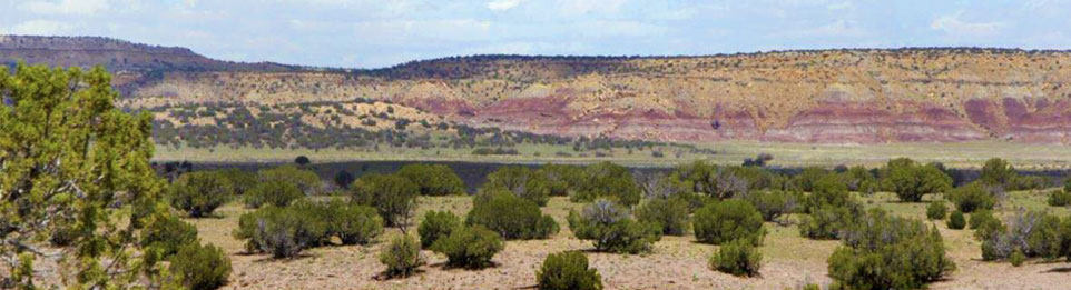 Antelope Meadows Ranch