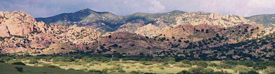 Dragoon Mountain Ranch