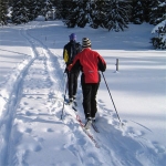 Cross-Country Skiing