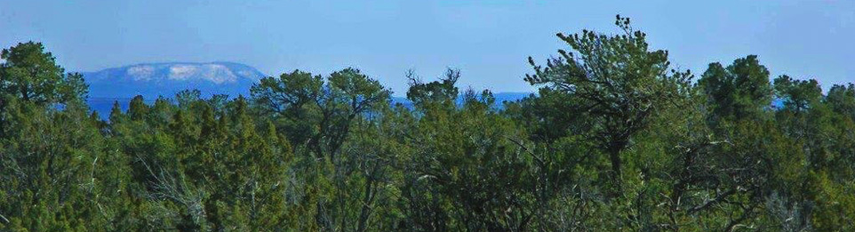 Sierra Mountain Ranch