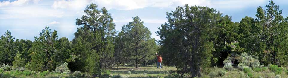 Sierra Mountain Ranch