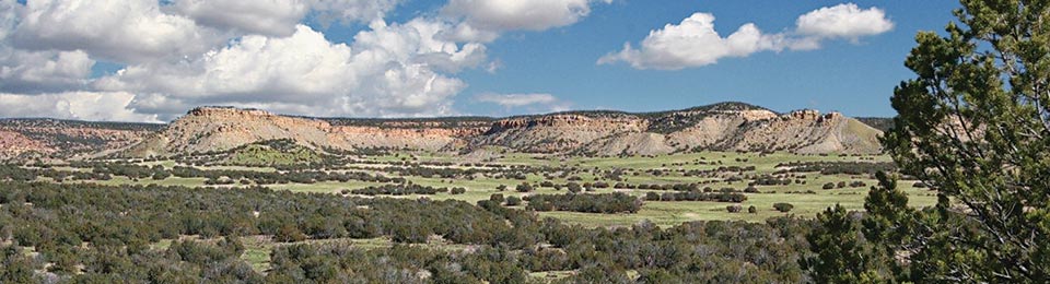 Sierra Mountain Ranch