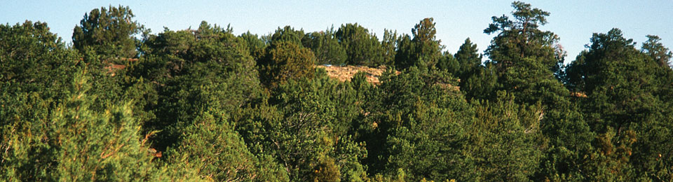 Sierra Mountain Ranch